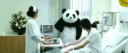 Mean Panda GIF - Angry Panda Tv Hospital GIFs