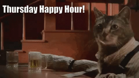 Cat Beer GIF - Cat Beer Happy Hour GIFs