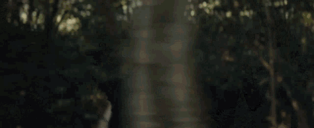 a woman in a black dress is walking through a forest