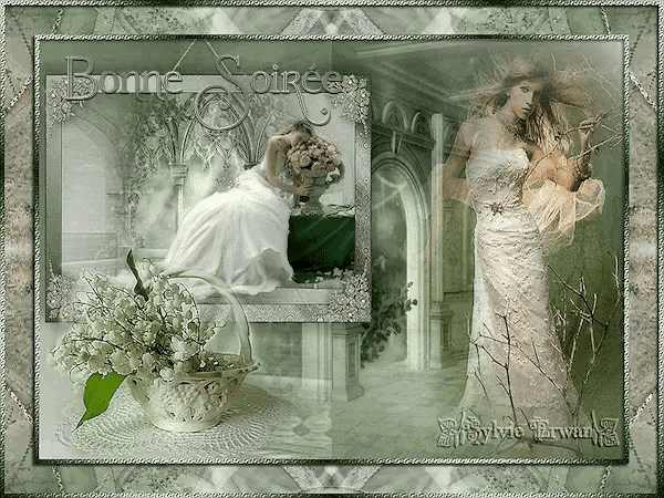a picture of a woman in a white dress with the words " bonne soiree "