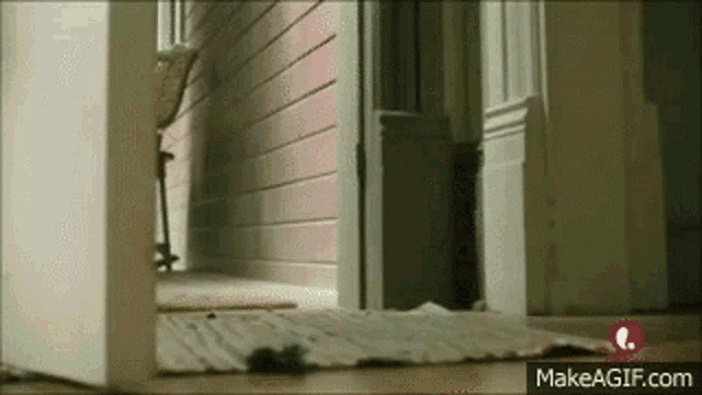 a door is open to a hallway with a rug on the floor in front of it .
