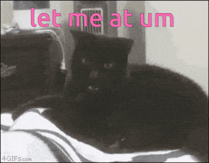 a black cat is laying on a bed with the words let me at um