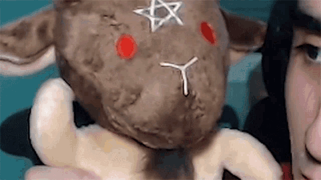 a close up of a person holding a stuffed animal with a star on its head .