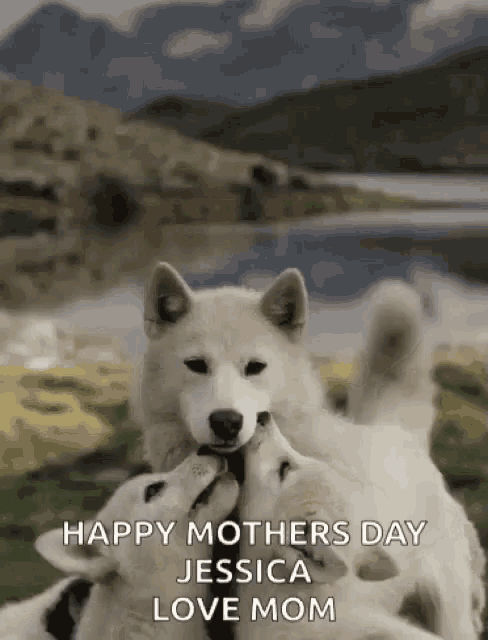 a happy mother 's day greeting card with two dogs