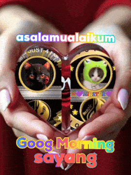 a woman is holding a heart shaped glass with cats on it and the words good morning sayang