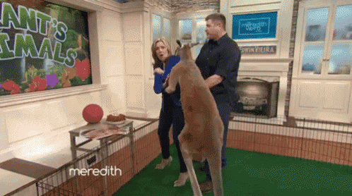 a man and woman are standing next to a kangaroo in front of a sign that says ants animals