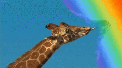 Giraffe Rainbow GIF - Giraffe Rainbow Gay GIFs
