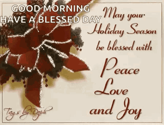 a good morning have a blessed day holiday season be blessed with peace love and joy