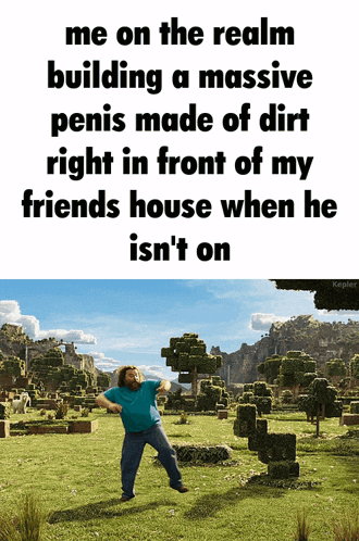 a man is standing in a grassy field with a caption that says me on the realm building a massive penis