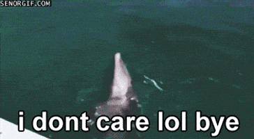 a dolphin jumping out of the water with the words i dont care lol bye
