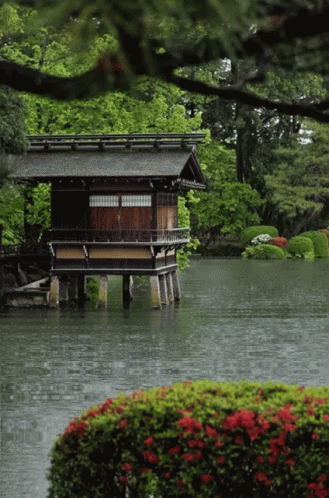 Zen Nature GIF - Zen Nature House GIFs