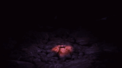 Reshiram Cave GIF - Reshiram Cave The Light Stone GIFs