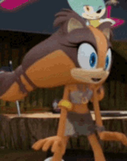 Sticks The Badger Excited GIF - Sticks The Badger Excited Sonic The Hedgehog GIFs
