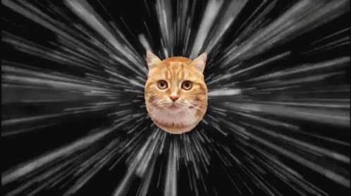 Space Cat GIF - Space Cat Flying GIFs