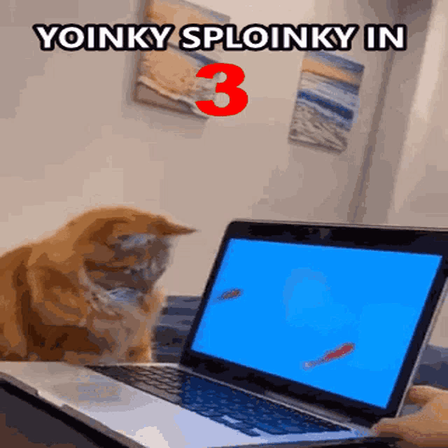 Animals With Captions That Yoinky Sploinky GIF - Animals With Captions That Yoinky Sploinky Yoinky GIFs