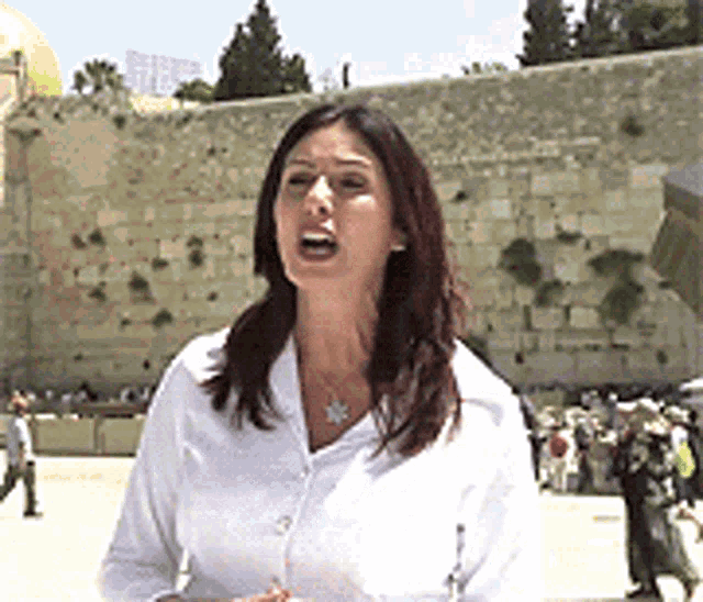 Miri Regev Explaining GIF - Miri Regev Explaining Israeli Politician GIFs