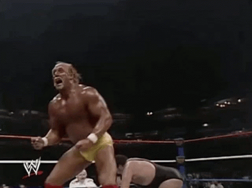 Hulk Hogan Wwe GIF - Hulk Hogan Wwe Hyped GIFs