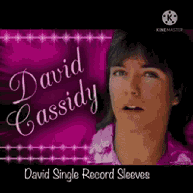 a david cassidy single record sleeve with a picture of david cassidy
