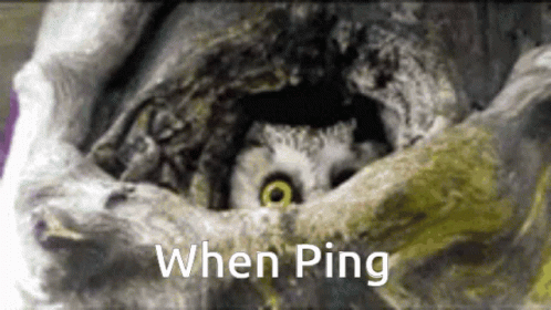 Owl Ping GIF - Owl Ping Discord GIFs
