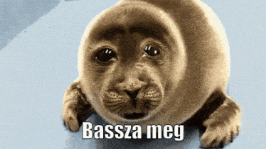 a seal with the words bassza meg written on it