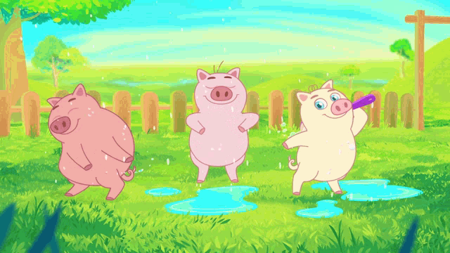 three pigs are dancing in a field with puddles of water