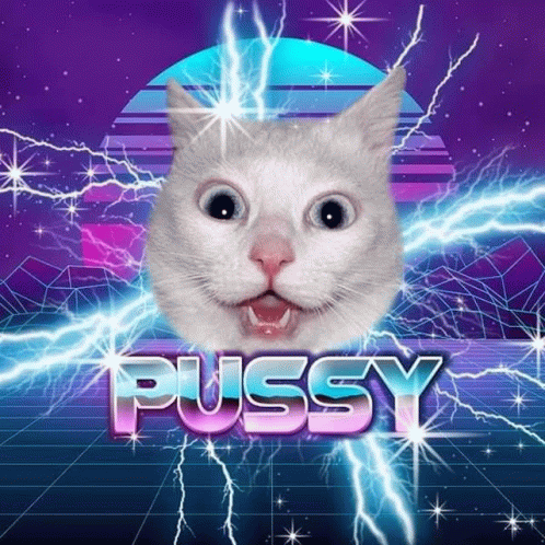 Pussy Pussyfinancial GIF - Pussy Pussyfinancial Pussymeme GIFs