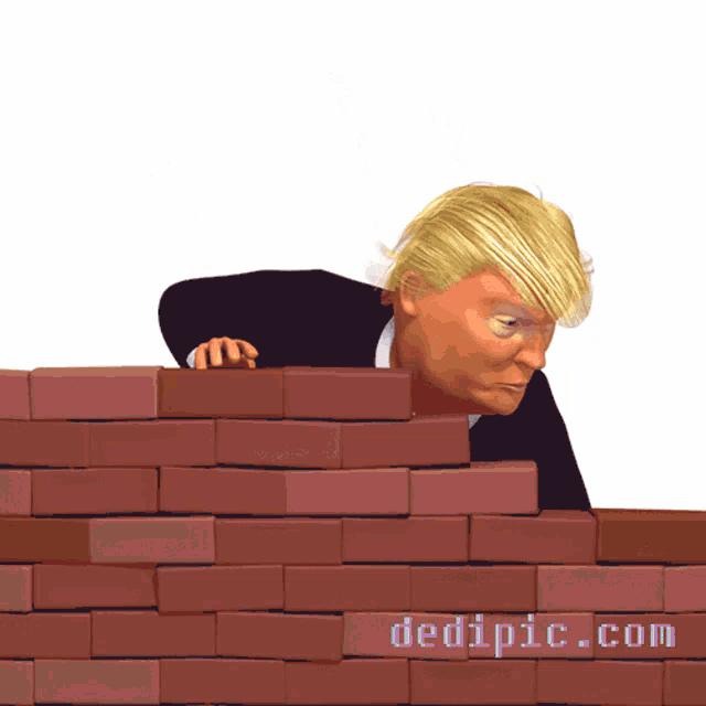 Trump Wall GIF - Trump Wall Train GIFs