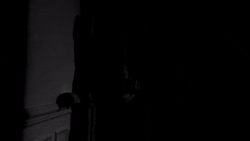 a person is standing in the dark in a dark room .