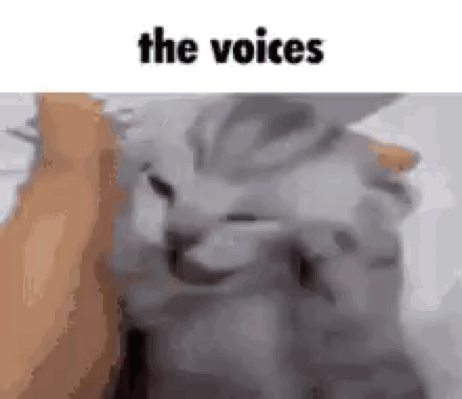 The Voices Cat Meme GIF - The Voices Cat Meme GIFs