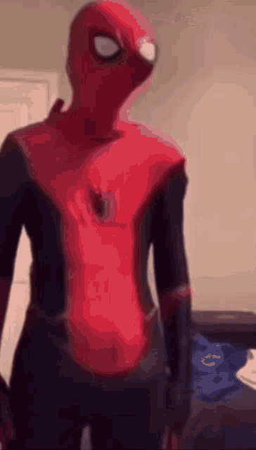Spider Man Meme GIF - Spider Man Meme Reaction GIFs