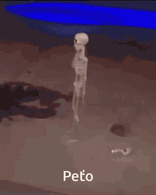 a silhouette of a person with the word peto written on the bottom