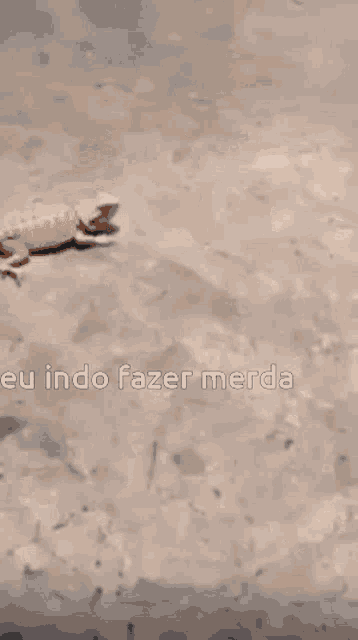 a picture of a lizard with the words eu indo fazer merda written below it