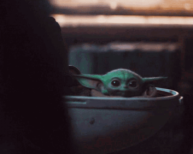 a baby yoda is sitting in a bucket and looking at the camera