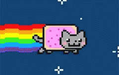 Nyan Cat GIF - Nyan Cat Fly GIFs