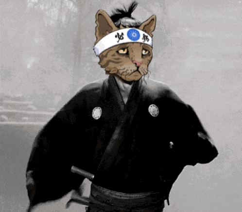a cat wearing a headband that says ' samurai ' on it