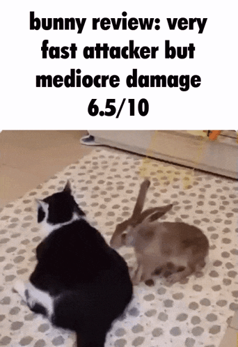 a cat and a rabbit are sitting on a rug and the rabbit is very fast attacker but mediocre damage 6.5 / 10