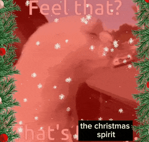 Merry Chritmas Christmas Spirit GIF - Merry Chritmas Christmas Spirit Cat GIFs