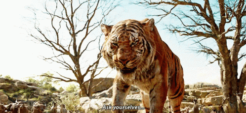 The Jungle Book Shere Khan GIF - The Jungle Book Shere Khan Ask Yourselves GIFs