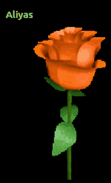 a pixel art of an orange rose with the name aliyas written above it