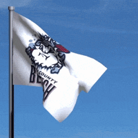 a flag that says blowfish on it is waving in the wind