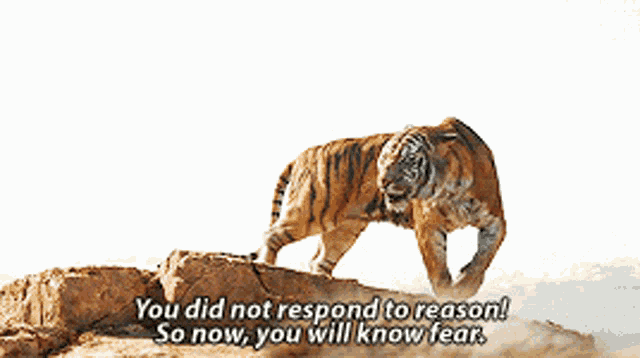 The Jungle Book Shere Khan GIF - The Jungle Book Shere Khan You Did Not Respond To Reason GIFs