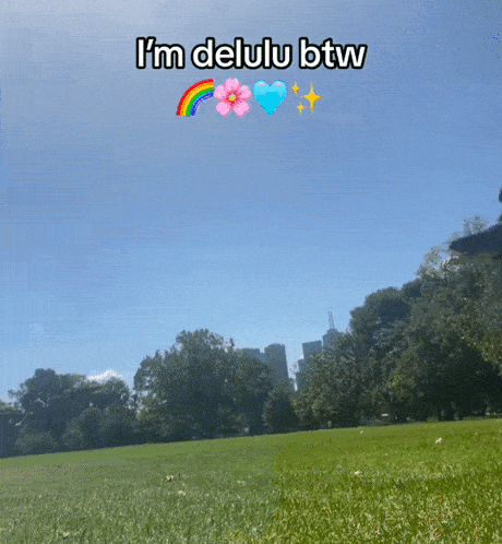 a picture of a field with the words i 'm delulu btw on it