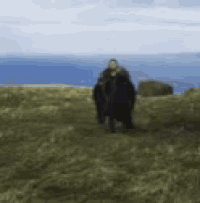 a blurry picture of a person standing in a grassy field