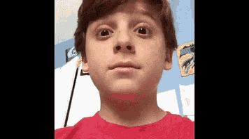 a young boy wearing a red shirt looks at the camera