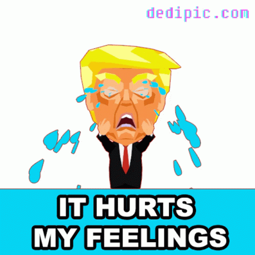 Trump Feelings Cry GIF - Trump Feelings Cry Donald Trump Crying GIFs