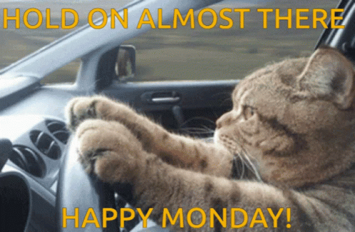 Happy Monday GIF - Happy Monday Driving GIFs