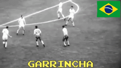 Garrincha Brazil GIF - Garrincha Brazil Brazilian Football GIFs