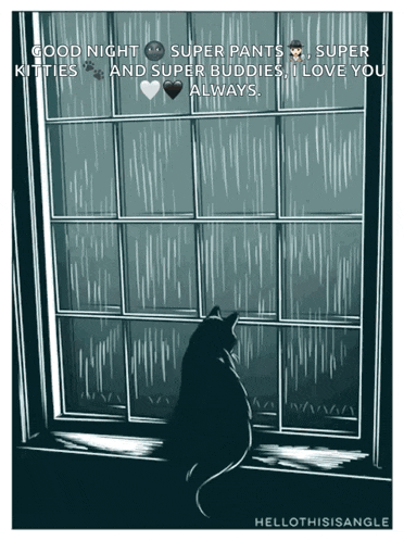 a black cat is looking out a window with a good night message