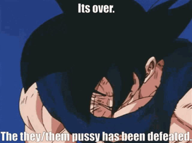 a cartoon character with the words " its over the they / them pussy has been defeated " below him