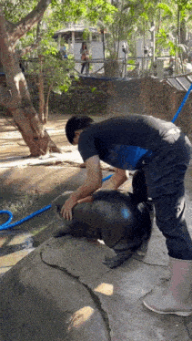 a man petting a seal with a hose